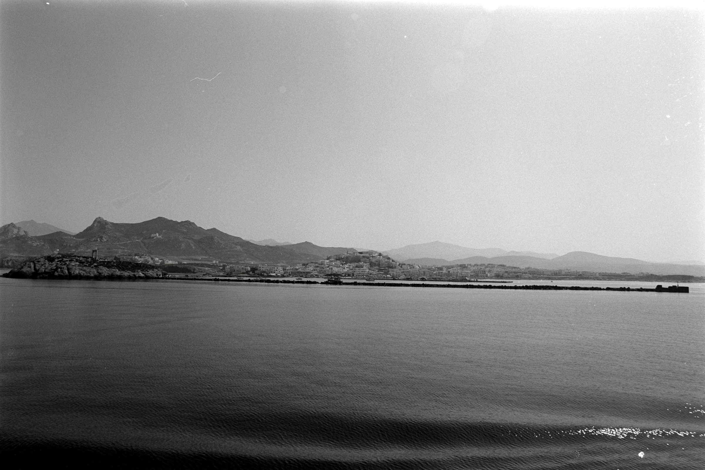 AHP F1991 09 004 sc240914 img19 NLP